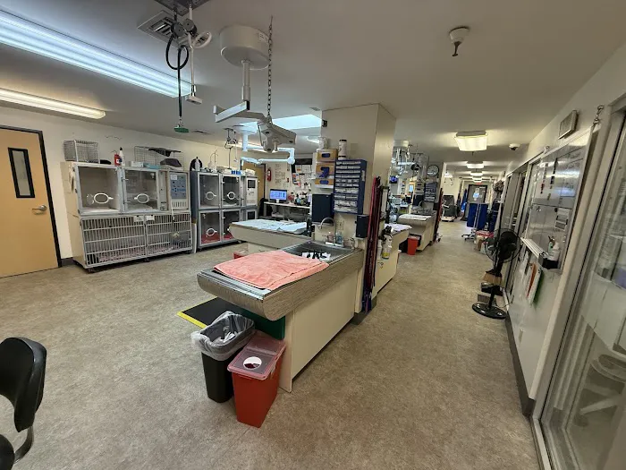 VCA Southeast Portland Animal Hospital Picture 1