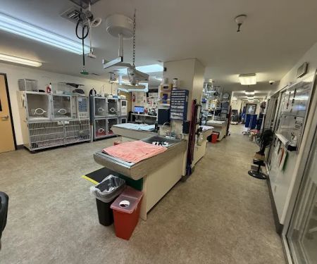 VCA Southeast Portland Animal Hospital