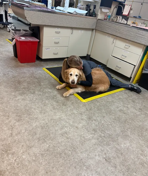 VCA Southeast Portland Animal Hospital Picture 6