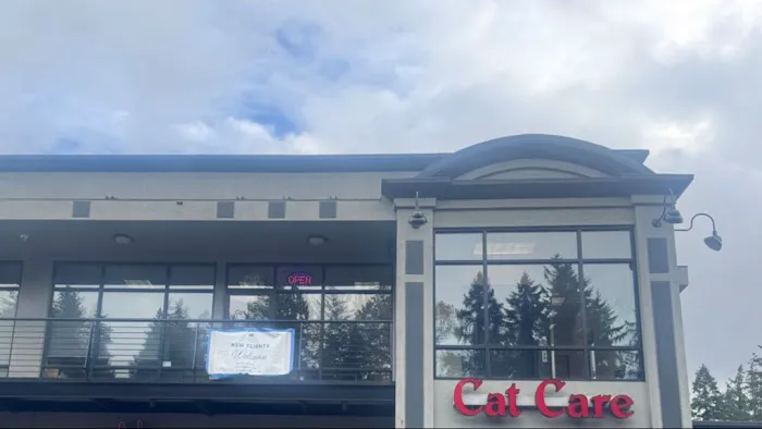 Cat Care Professionals Picture 1