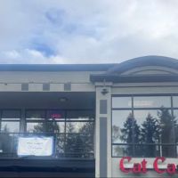 Cat Care Professionals ico