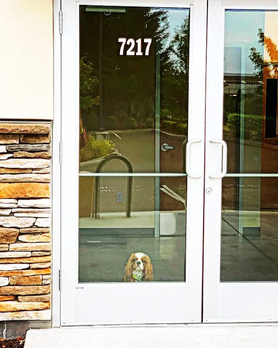 Narra Veterinary Clinic Picture 10