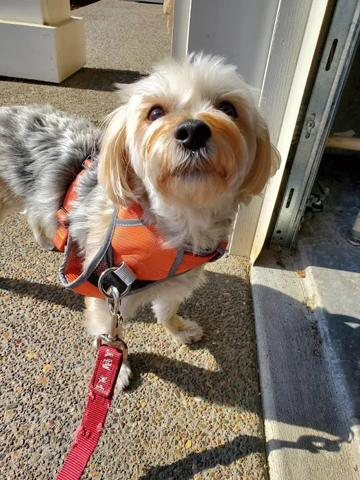 Willamette Valley Animal Hospital of Tualatin Picture 5