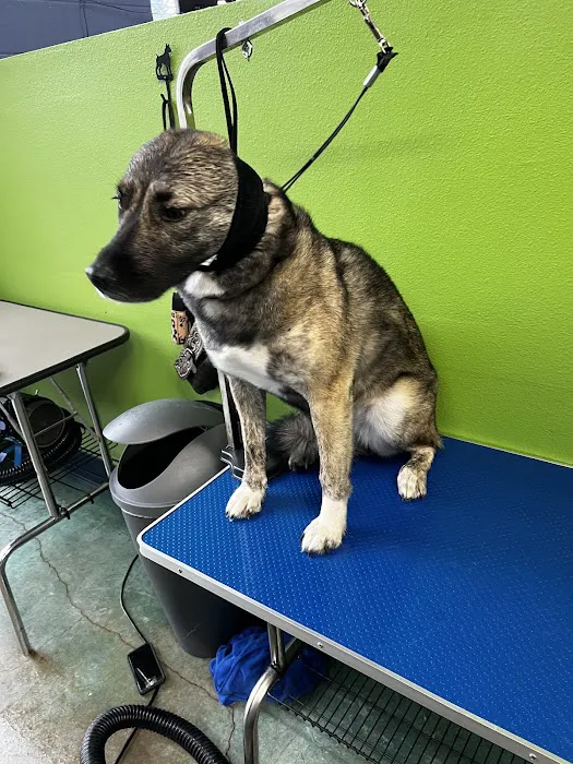 Willamette Valley Animal Hospital of Tualatin Picture 8