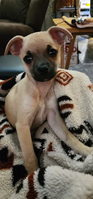 Good Neighbor Vet Picture 8