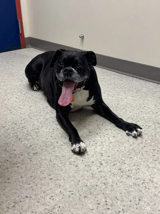 Vancouver Veterinary Hospital Picture 1