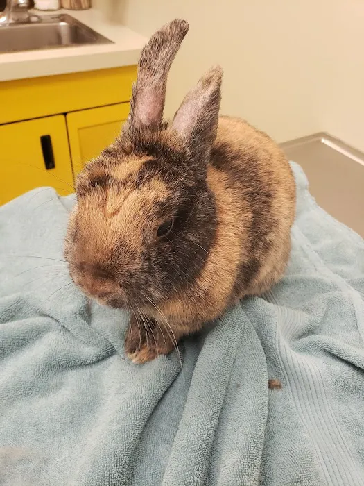 Vancouver Veterinary Hospital Picture 5