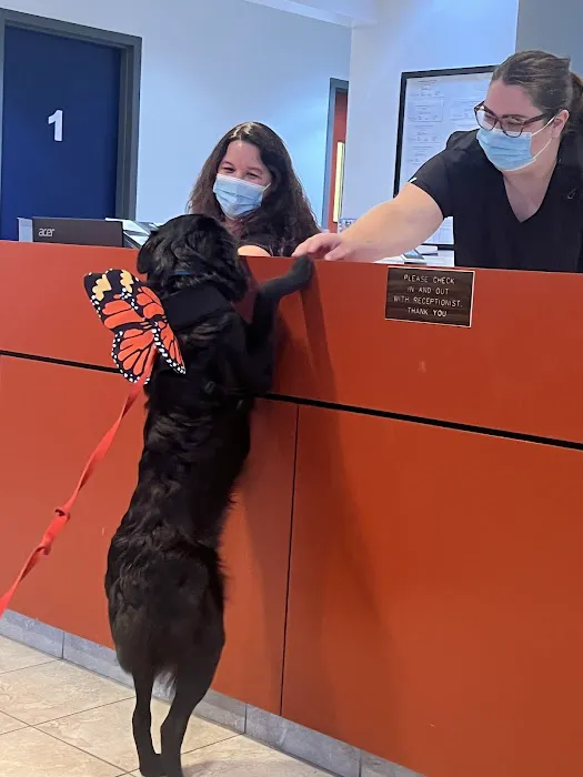 Vancouver Veterinary Hospital Picture 4