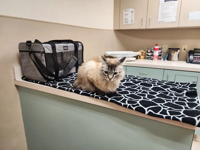 Halsey East Animal Clinic Picture 4