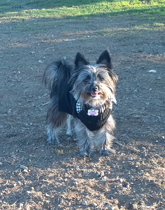 Banfield Pet Hospital Picture 1