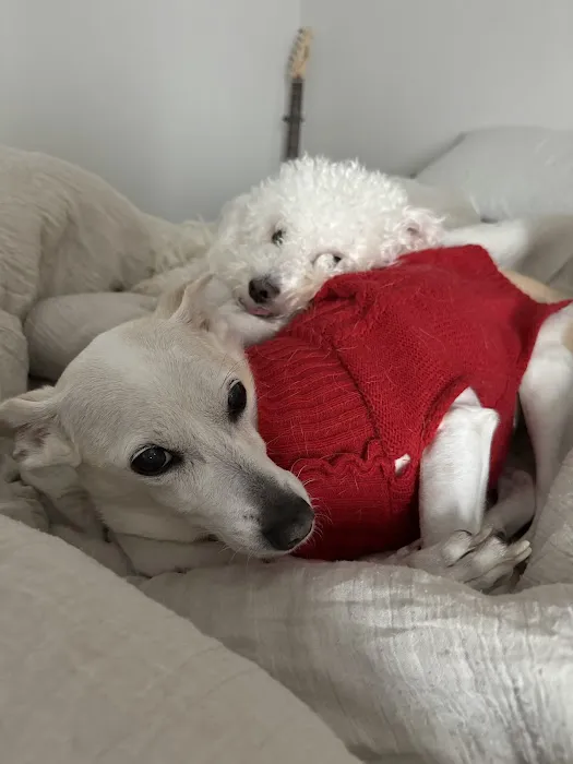 Banfield Pet Hospital Picture 4