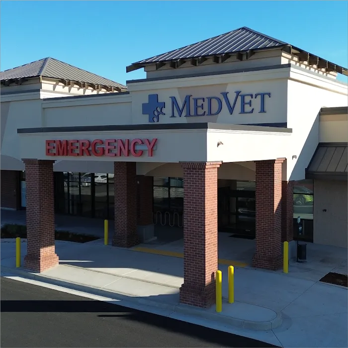 MedVet Vancouver Picture 3