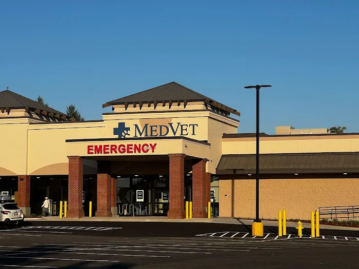 MedVet Vancouver Picture 1
