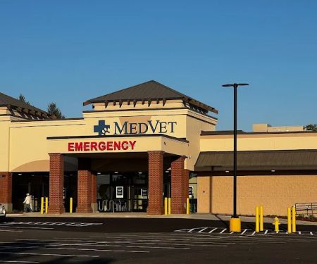 MedVet Vancouver