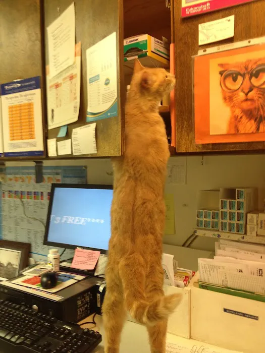 Columbia Veterinary Center: Cleveland Tammy R DVM Picture 5