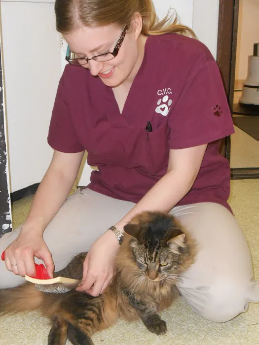 Columbia Veterinary Center: Cleveland Tammy R DVM Picture 7