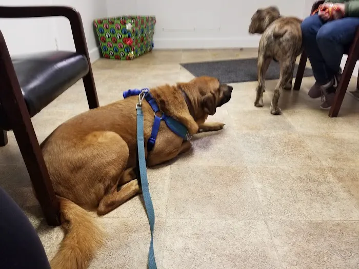 Columbia Veterinary Center Picture 4