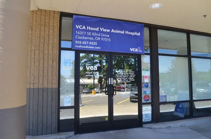 VCA Hood View Animal Hospital Picture 3