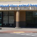 VCA Hood View Animal Hospital