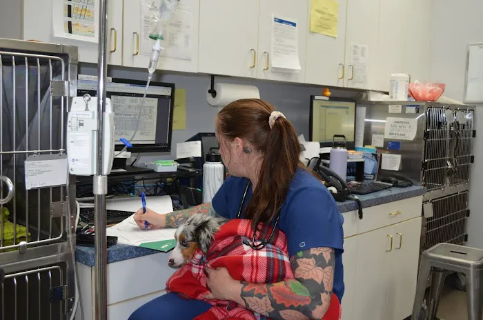 VCA Hood View Animal Hospital Picture 8