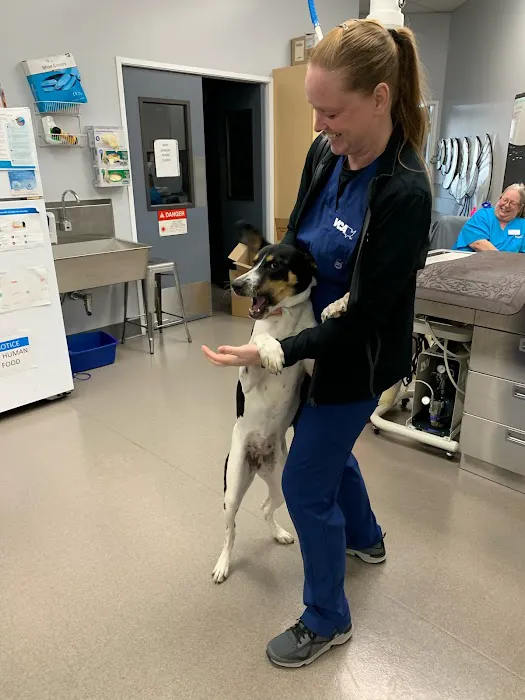 VCA Hood View Animal Hospital Picture 10