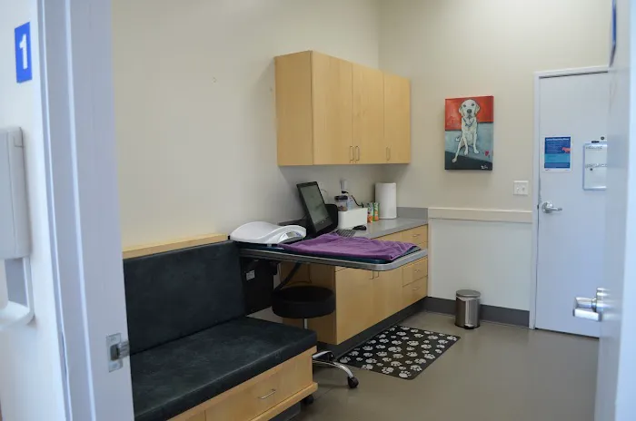 VCA Hood View Animal Hospital Picture 7