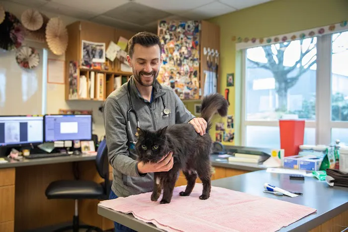 VCA Northwest Veterinary Specialists Picture 5