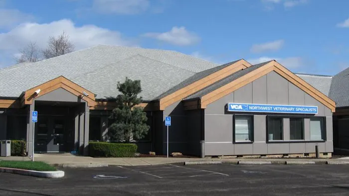 VCA Northwest Veterinary Specialists Picture 2