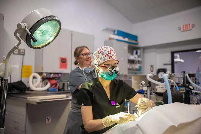 VCA Northwest Veterinary Specialists Picture 3