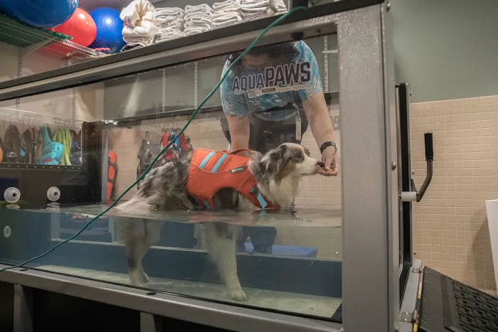 VCA Northwest Veterinary Specialists Picture 6
