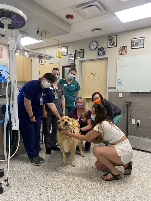 VCA Northwest Veterinary Specialists Picture 9