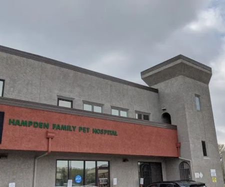 Hampden Family Pet Hospital