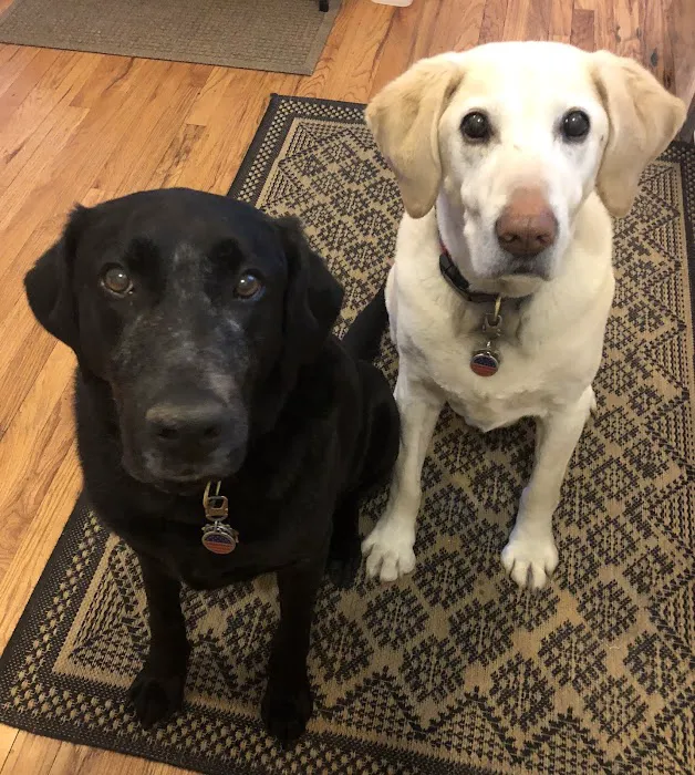 Hampden Family Pet Hospital Picture 4