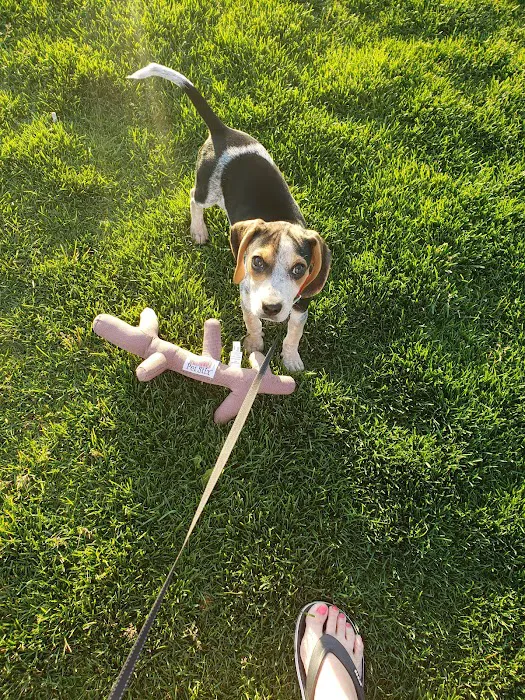 Hampden Family Pet Hospital Picture 5