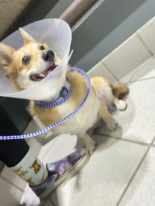 VRCC Veterinary Specialty and Emergency Hospital Picture 10