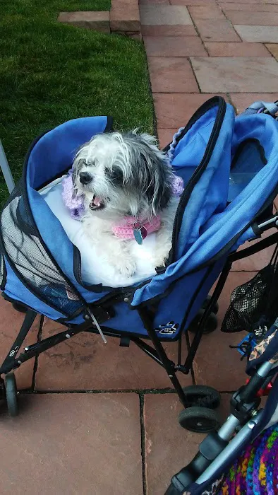 Peace, Love & Paws Picture 6