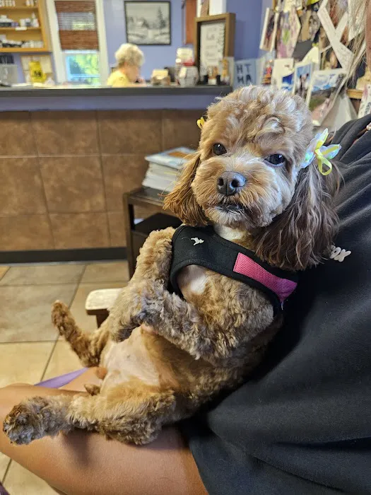 Westwood Animal Hospital Picture 6