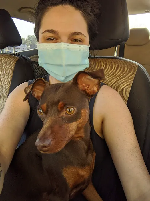 Westwood Animal Hospital Picture 7