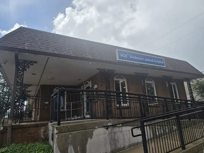 VCA Anderson Animal Hospital Picture 3