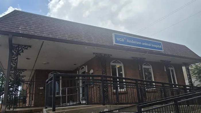 VCA Anderson Animal Hospital Picture 1