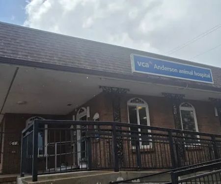 VCA Anderson Animal Hospital