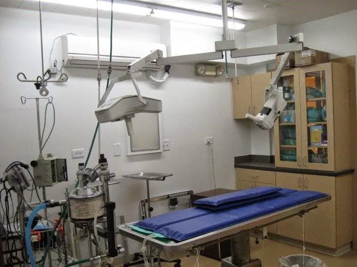 VCA Anderson Animal Hospital Picture 5