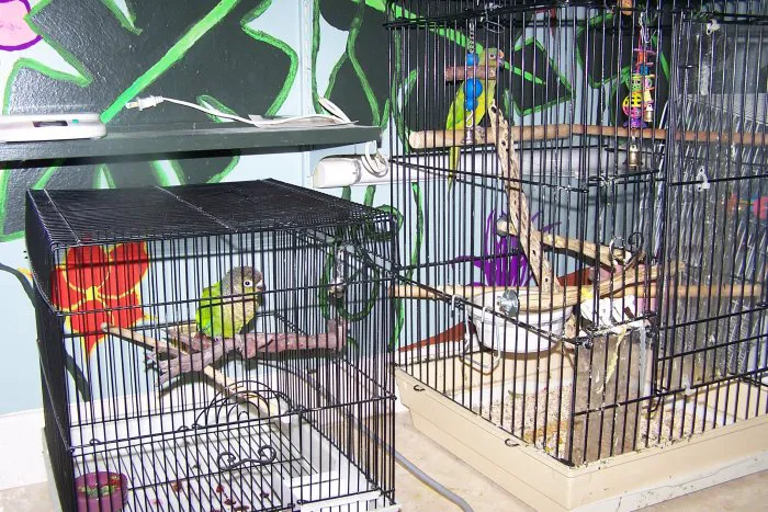 VCA Anderson Animal Hospital Picture 2