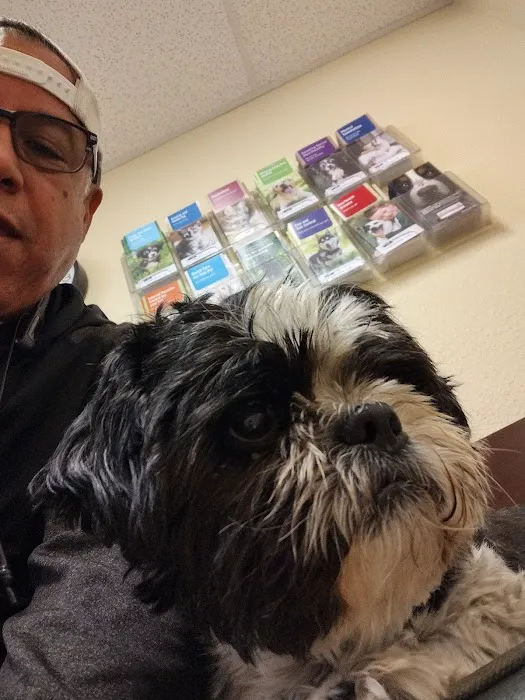 VCA Anderson Animal Hospital Picture 7