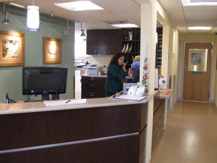 VCA Anderson Animal Hospital Picture 8