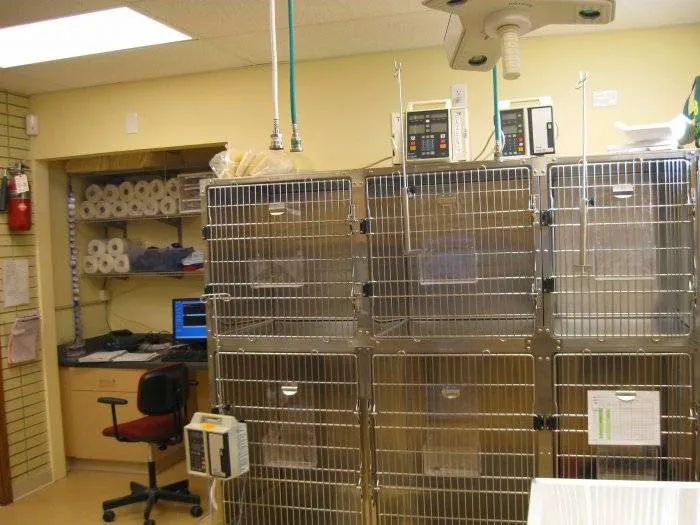 VCA Anderson Animal Hospital Picture 6