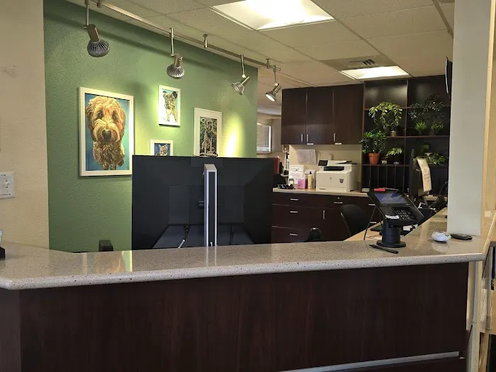 VCA Anderson Animal Hospital Picture 10