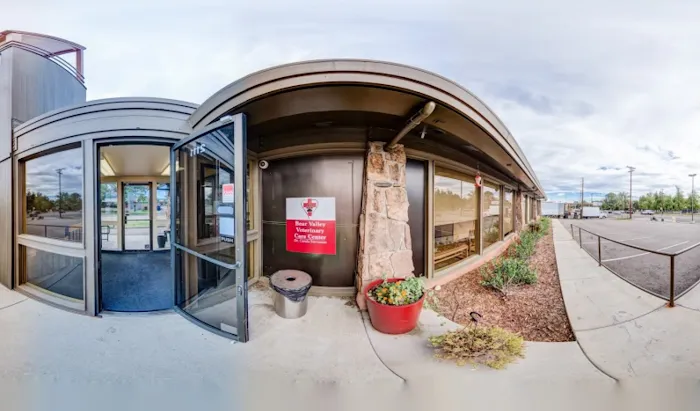 Bear Valley Veterinary Care Center Picture 2