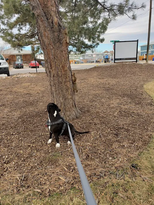 Bear Valley Veterinary Care Center Picture 8