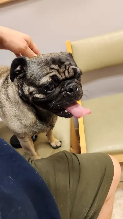 Bear Valley Veterinary Care Center Picture 10